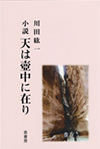 小説 天は壺中に在り